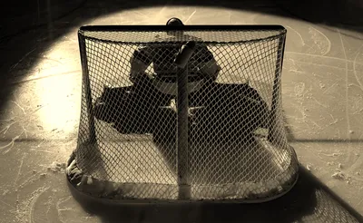 Bentley Falcons Hockey